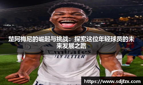 完美体育登录入口