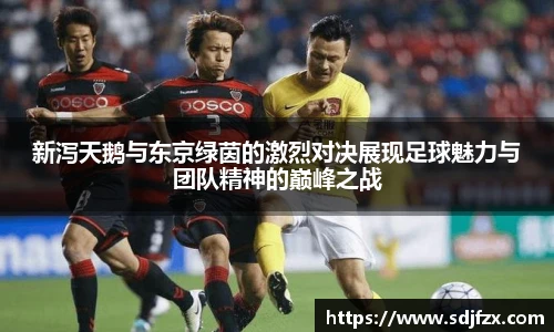 完美体育登录入口